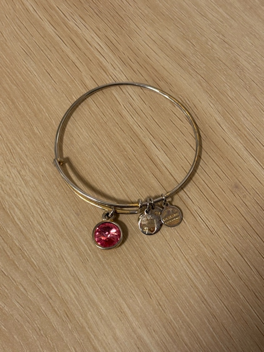 Alex and Ani Silver Charm Bracelet